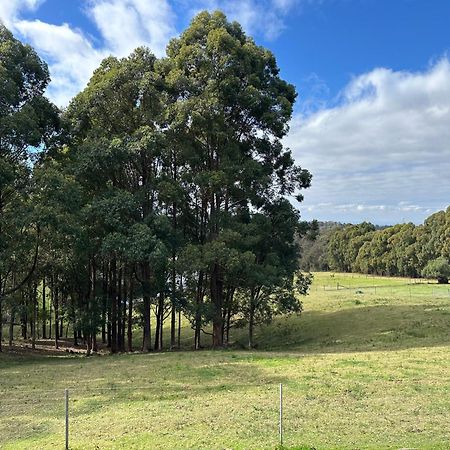 Blueberry Hills On Comleroy Farmstay - Self-Contained Cottages Kurrajong Екстер'єр фото