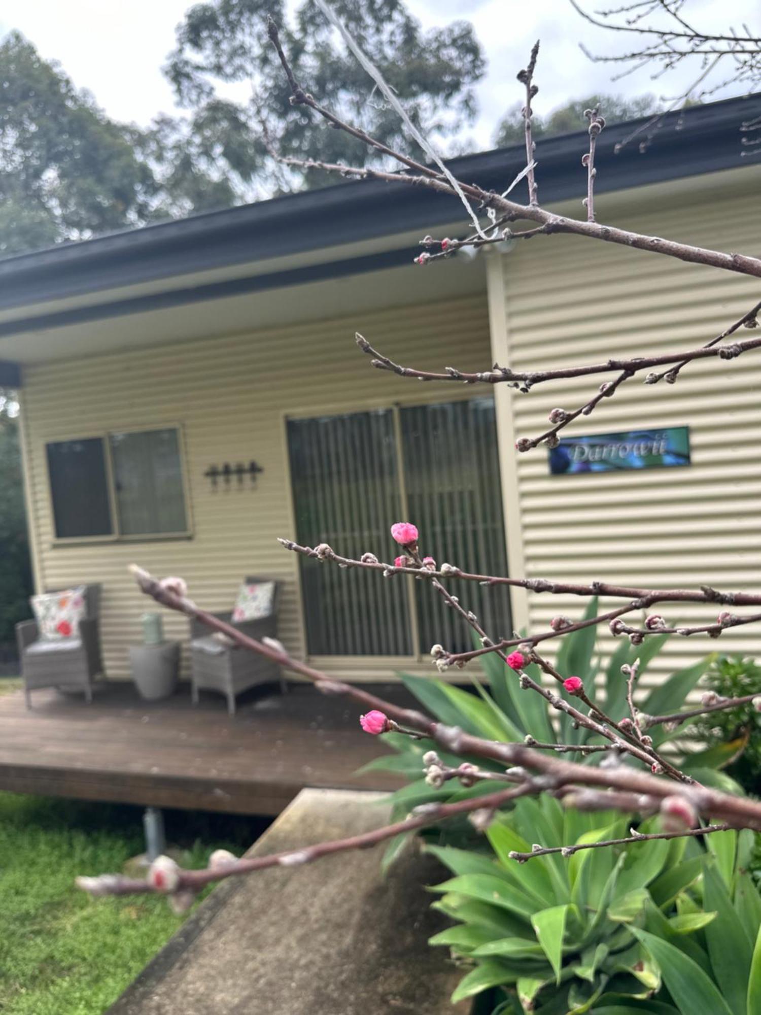 Blueberry Hills On Comleroy Farmstay - Self-Contained Cottages Kurrajong Екстер'єр фото