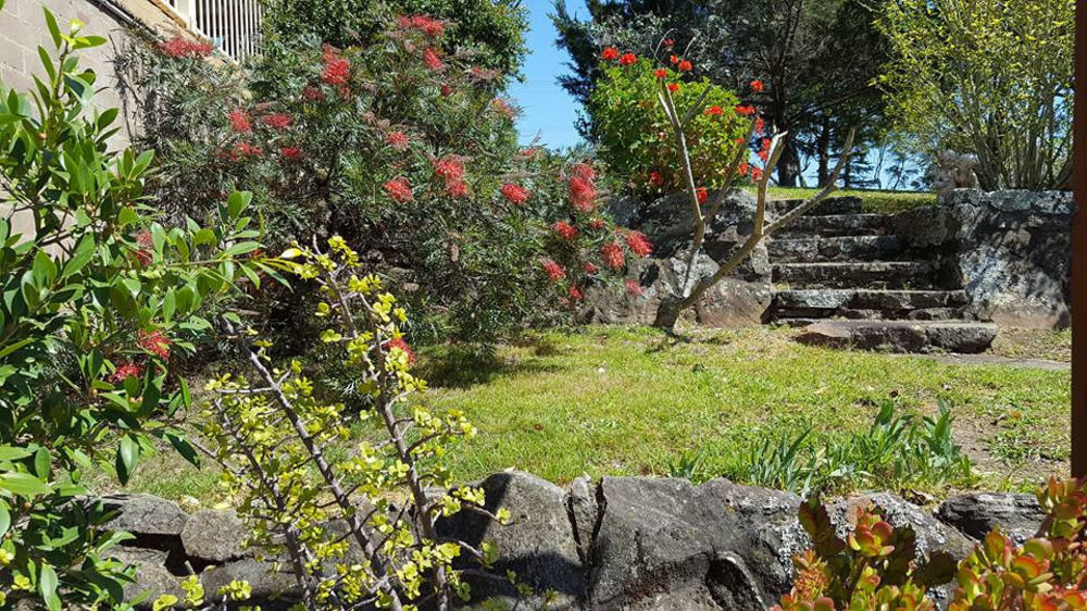 Blueberry Hills On Comleroy Farmstay - Self-Contained Cottages Kurrajong Екстер'єр фото