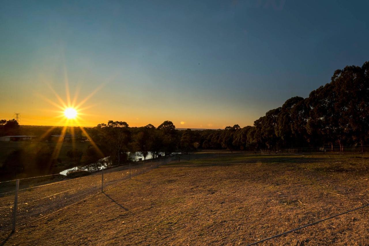 Blueberry Hills On Comleroy Farmstay - Self-Contained Cottages Kurrajong Екстер'єр фото