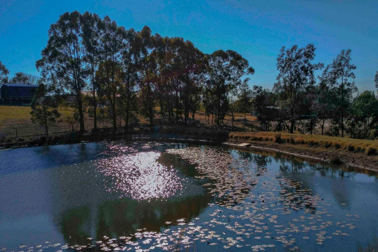 Blueberry Hills On Comleroy Farmstay - Self-Contained Cottages Kurrajong Екстер'єр фото