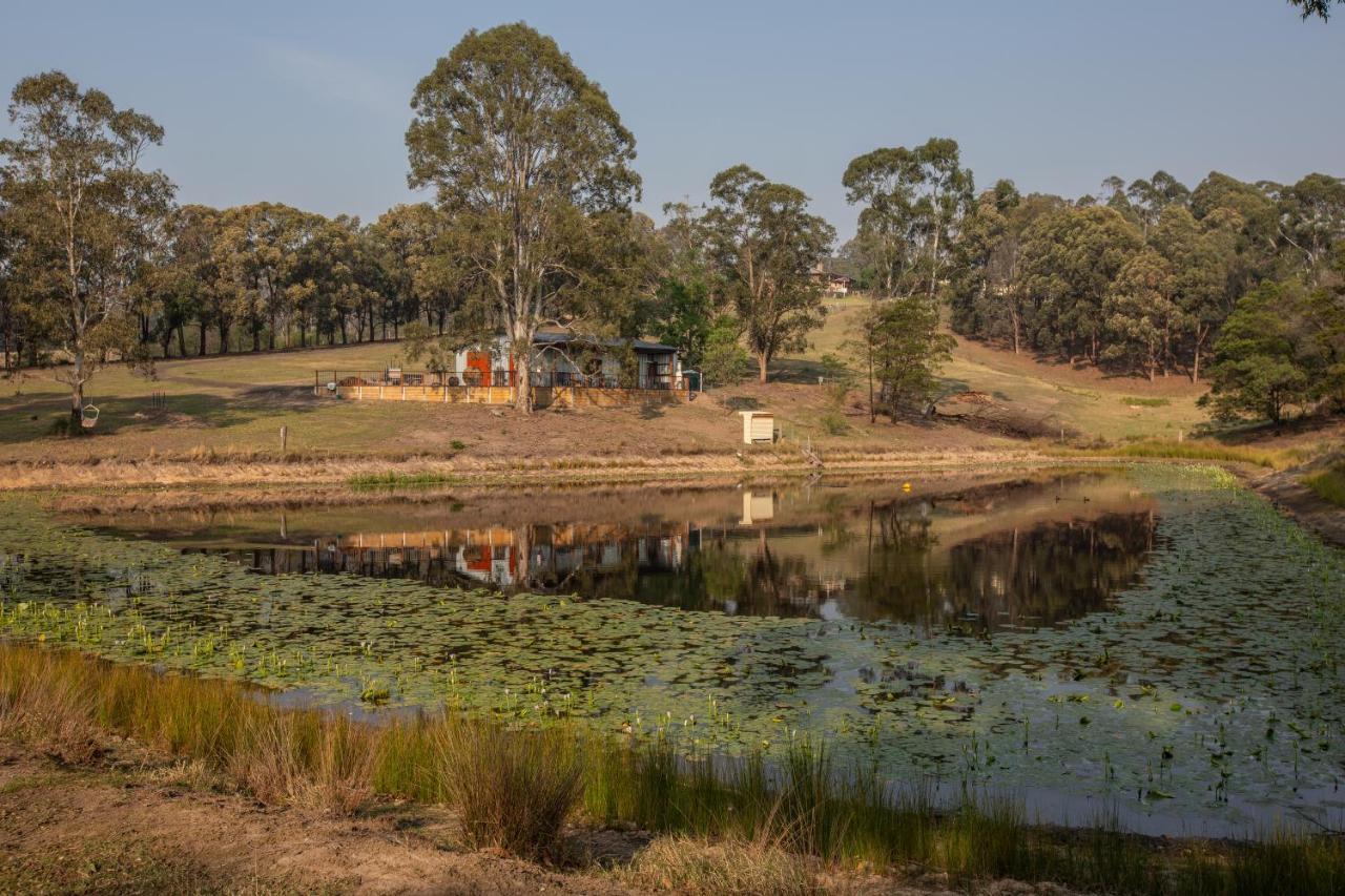 Blueberry Hills On Comleroy Farmstay - Self-Contained Cottages Kurrajong Екстер'єр фото